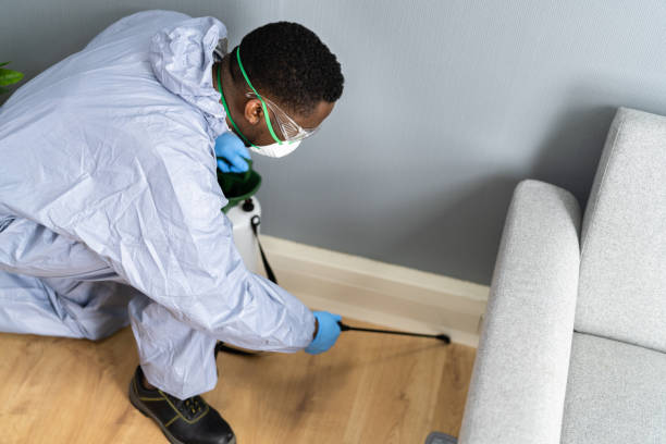 Best Pest Prevention Services  in Mount Vernon, KY